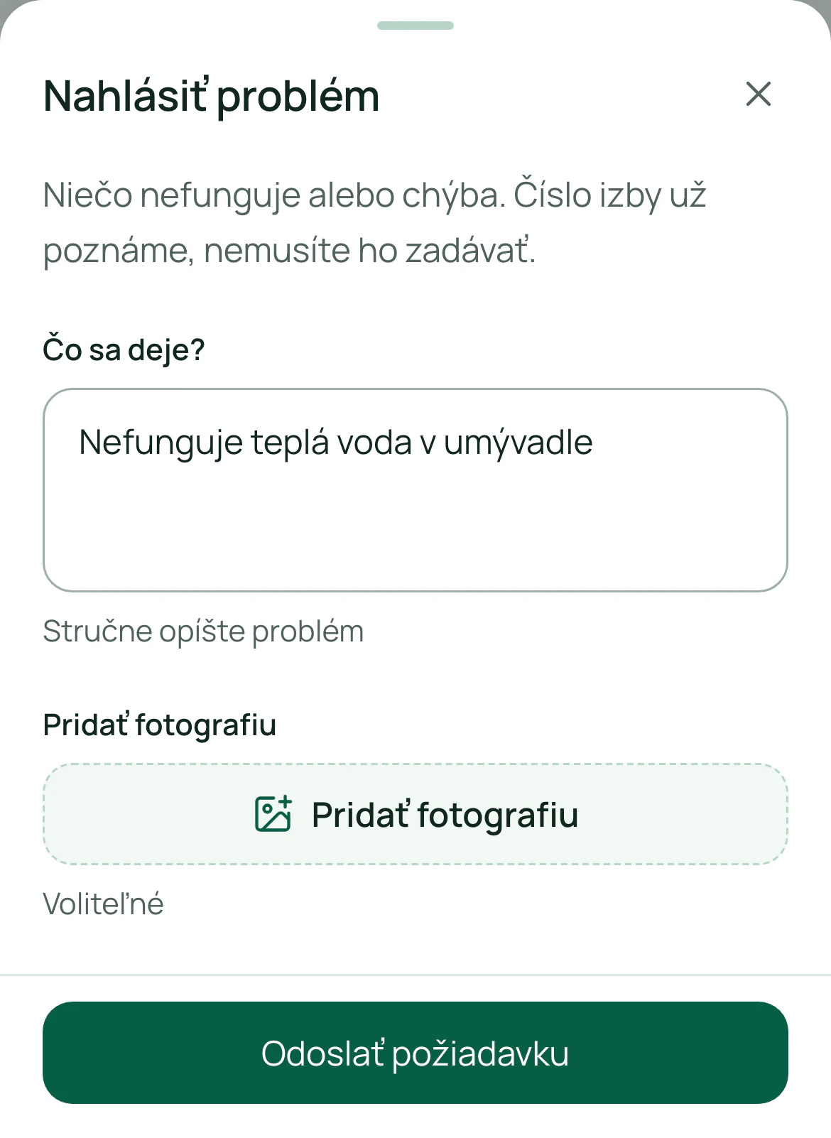 Nahlásenie problému s poľom na opis a tlačidlom Pridať fotografiu.